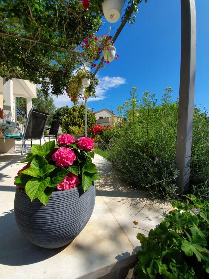 Apartments Borghetto فينكوران المظهر الخارجي الصورة