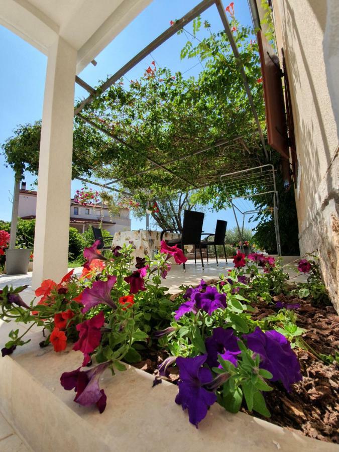 Apartments Borghetto فينكوران المظهر الخارجي الصورة
